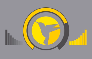 WordPress Hummingbird Plugin